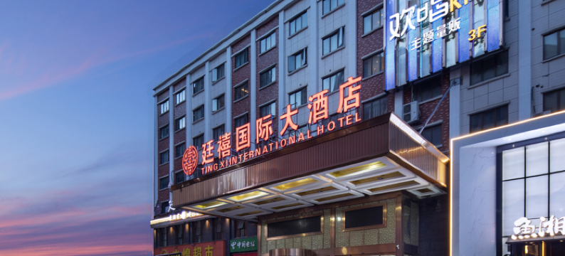 长沙县廷禧国际大酒店(黄兴镇政府店)图片