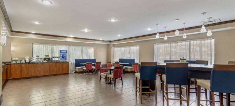 舒适套房酒店-肯纳瑟州立大学(Comfort Suites at Kennesaw State University)图片