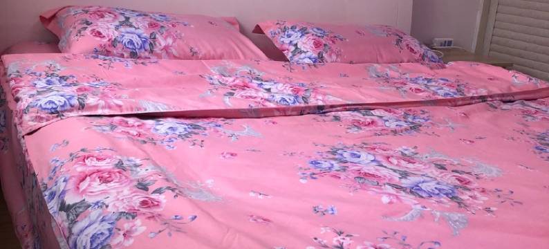 爱蕊民宿(东关路1号分店)图片