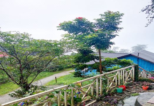 Rongo White House by StayApart Hotel Overview