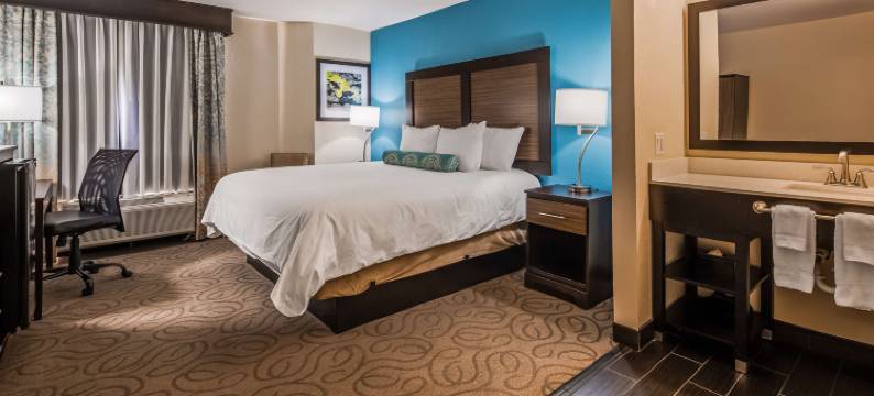 旅人歇息格林维尔贝斯特韦斯特酒店(Best Western Travelers Rest/Greenville)图片