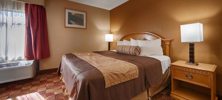 马丁斯维尔贝斯特韦斯特酒店(Best Western Martinsville Inn)图片