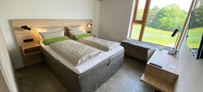 阿瓦内奥马克特雷茨维茨酒店(Avaneo Hotel Marktredwitz)图片