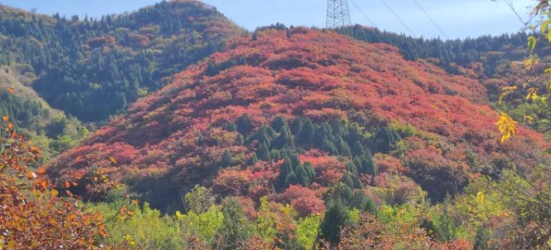 南山区汉礼悦唐悦庄民宿(大佛路分店)图片