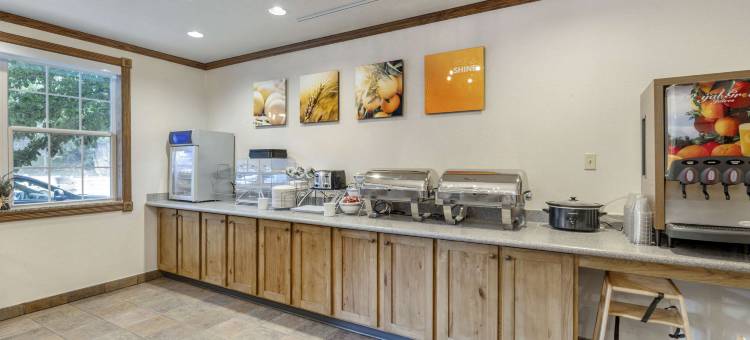 拉什莫尔山舒适套房酒店(Comfort Inn & Suites Mt Rushmore)图片