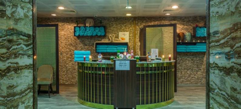 萨罗特温泉公园度假村及水疗中心 - 酒店(Sarot Termal Park Resort & Spa - Halal Hotel)图片