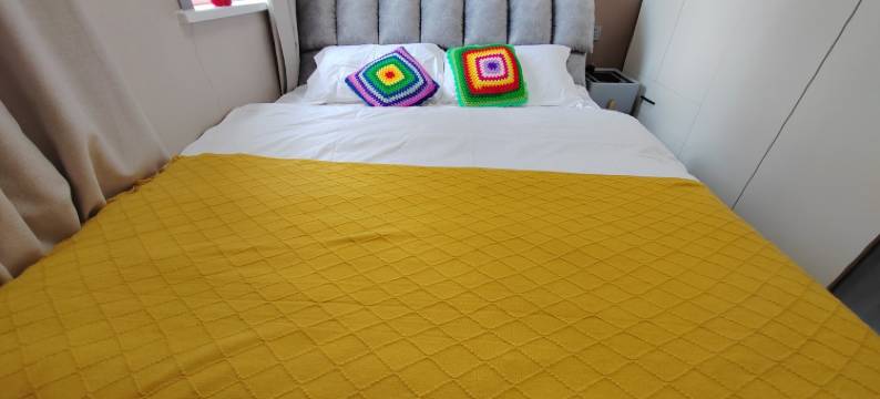 嫣然雅居公寓(会展纬二路分店)图片