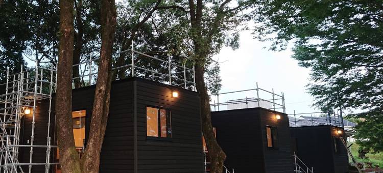 紫丁香酒店&度假村(Lilac Hotels and Resort)图片