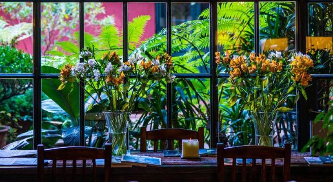 BE Jardin Escondido by Coppola Hotel Overview