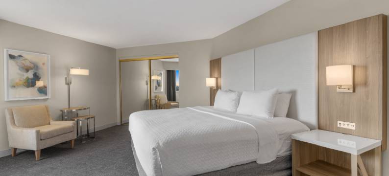 Crowne Plaza 休斯顿橡树河(Crowne Plaza HOUSTON MED CTR-GALLERIA AREA by IHG)图片