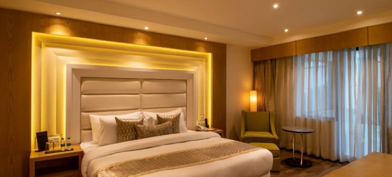 质朴酒店(The Pristine Hotel)图片