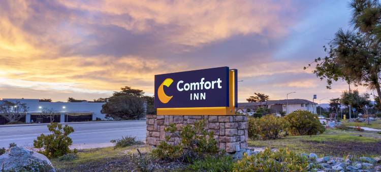 蒙特利湾马里那舒适酒店(Comfort Inn Marina on the Monterey Bay)图片