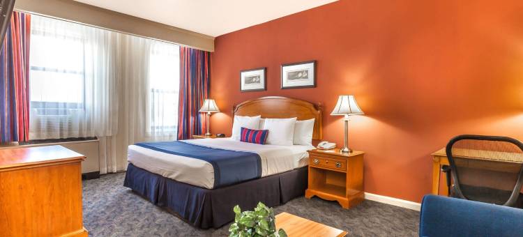 泽西市华美达酒店(Ramada by Wyndham Jersey City)图片