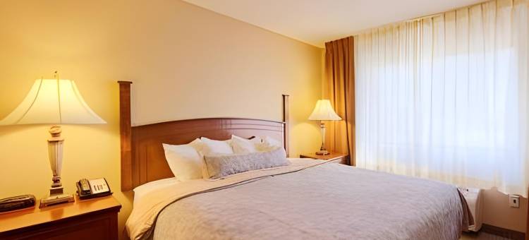 拉伯克大学区域斯戴布里奇套房酒店(Staybridge Suites Lubbock - University Area)图片