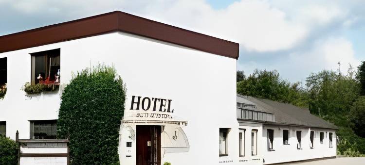 因塞尔旅馆酒店(Hotel Insel Pension)图片