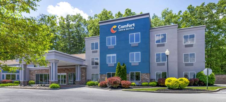 舒适酒店及套房-萨拉托加斯普林斯(Comfort Inn & Suites Saratoga Springs)图片