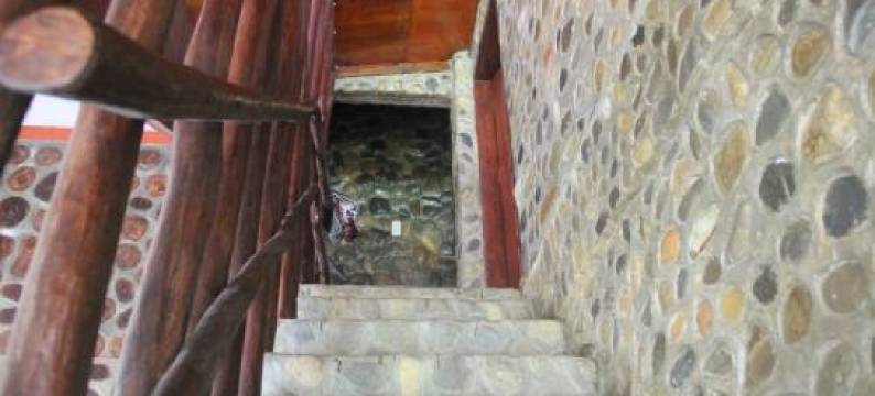 Rinte Green Village & Bukit Lawang Jungle Trekking图片