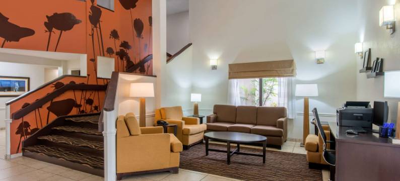 萨拉索塔北舒眠酒店(Sleep Inn Sarasota North)图片