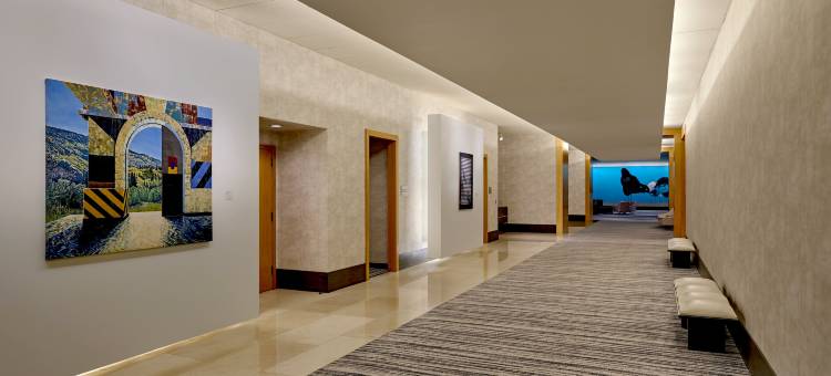 洛伊斯芝加哥奥黑尔酒店(Loews Chicago O'Hare Hotel)图片