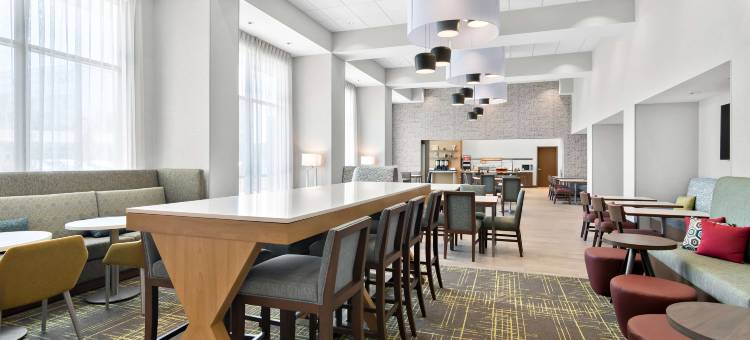 Hampton Inn & Suites芝加哥医学区UIC(Hampton Inn & Suites by Hilton Chicago Medical District UIC)图片