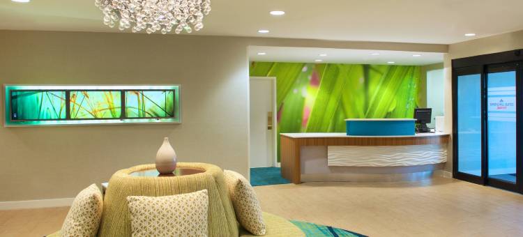 杰克逊维尔 SpringHill Suites 酒店(SpringHill Suites Jacksonville)图片