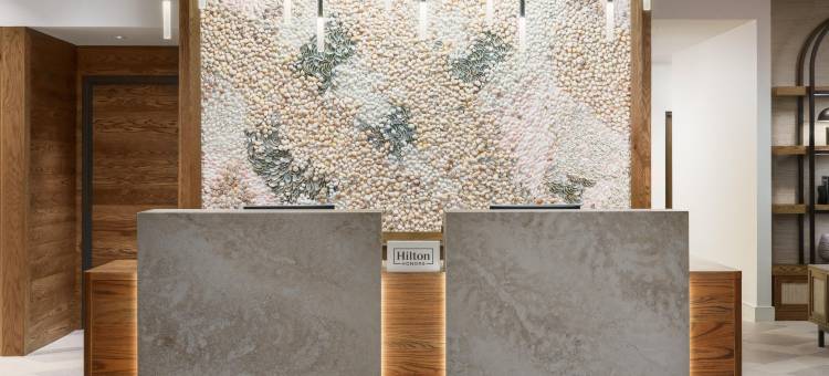 圣彼得海滩希尔顿花园酒店(Hilton Garden Inn St. Pete Beach)图片