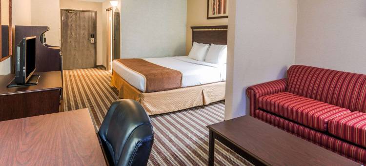 温德姆华戴斯套房酒店(Days Inn & Suites by Wyndham Vancouver)图片