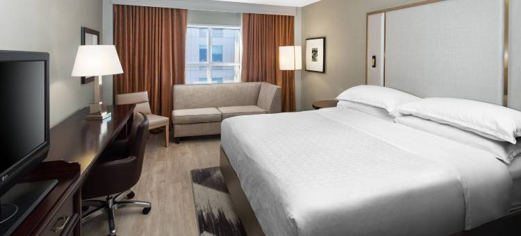 罗利喜来登酒店(Sheraton Raleigh Hotel)图片