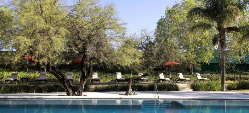 阿瓜斯卡连特斯万豪酒店(Aguascalientes Marriott Hotel)图片