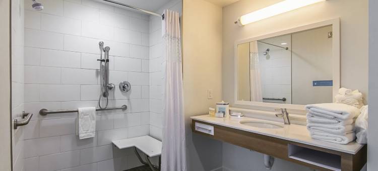 达拉斯/理查森欢朋酒店及套房(Hampton Inn & Suites Dallas/Richardson)图片