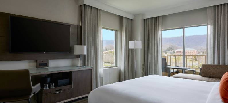 麦德威尔会议度假村及会议中心(MeadowView Conference Resort & Convention Center)图片