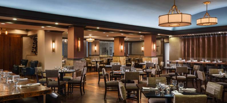 德梅因萨弗里万丽酒店(Renaissance des Moines Savery Hotel)图片