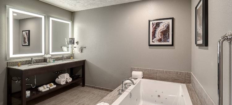 布卢明顿希尔顿逸林酒店(DoubleTree by Hilton Hotel Bloomington)图片