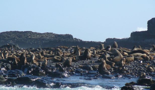 Cowes Chapel Beach HouseHotel Overview