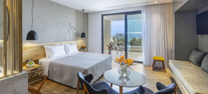 阿内密套房酒店(Anemi Hotel & Suites)图片