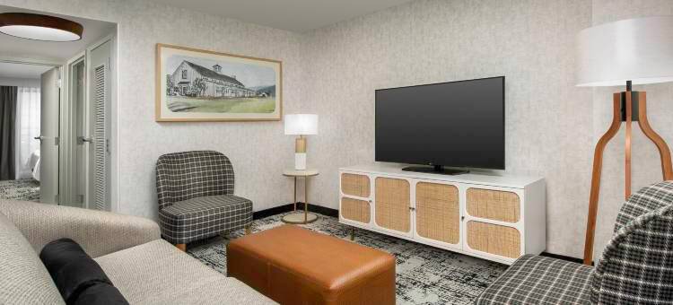 杜勒斯北劳登希尔顿安泊酒店(Embassy Suites by Hilton Dulles North Loudoun)图片