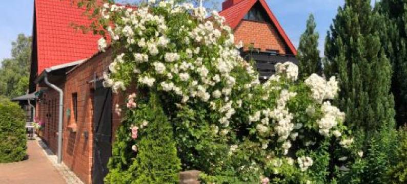 Landhaus Schlunt图片