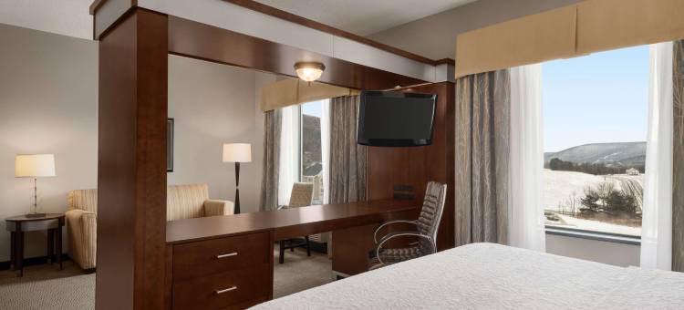 曼斯费尔德欢朋套房酒店(Hampton Inn & Suites Mansfield)图片