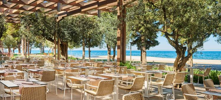 普拉瓦拉古纳乌马格花园套房(Garden Suites Umag Plava Laguna)图片