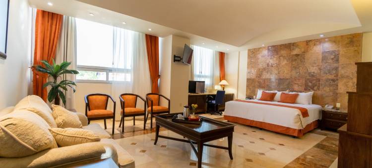 波萨里卡中央酒店(Hotel Poza Rica Centro)图片