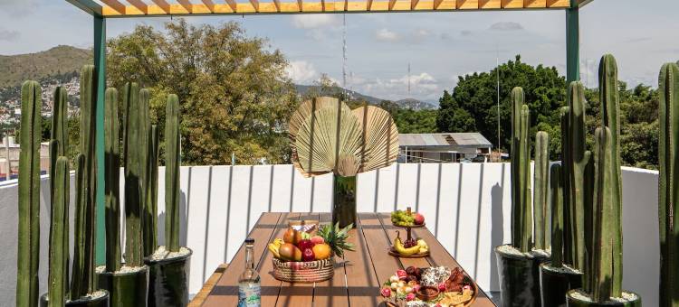 HOLT - 诺里亚别墅 - 绿泥之家(Holt - Villa Noria - la Casa del Barro Verde)图片