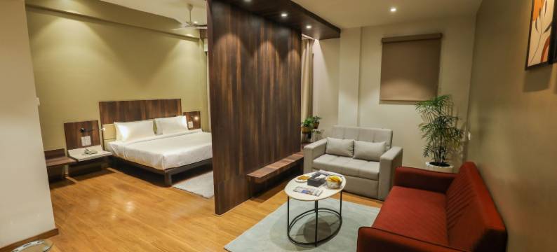 奥兰加巴德斯普瑞酒店(Spree Hotel Aurangabad)图片