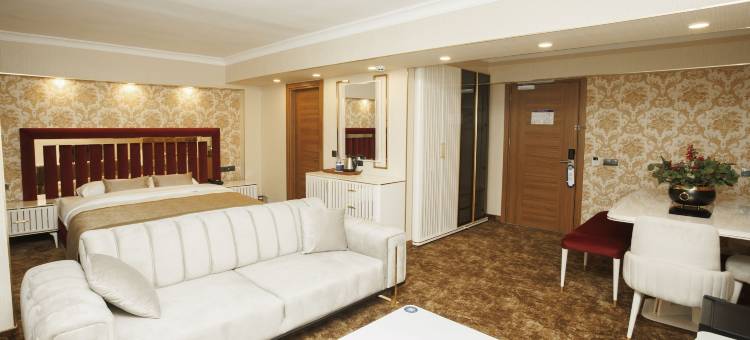 安纳蒙乌萨克酒店(Anemon Kent Uşak Hotel)图片