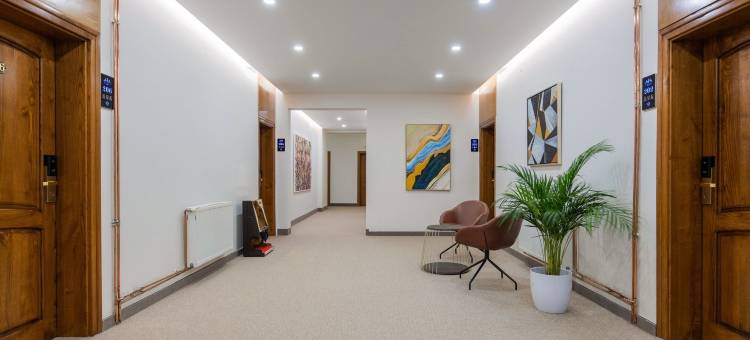 阿法酒店(Hotel Afa)图片