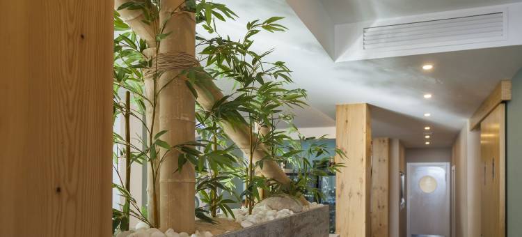 巴拉阿塔精品酒店 - 限成人(Hotel Boutique Barra Alta (Adults Only))图片