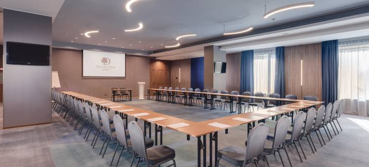 克卢日城市广场希尔顿逸林酒店(DoubleTree by Hilton Cluj - City Plaza)图片