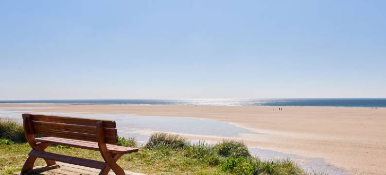 Super Octalia (Camping  )图片