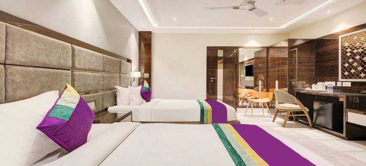 Treebo高级塔霍拉国际(Treebo Premium Tahoora International)图片