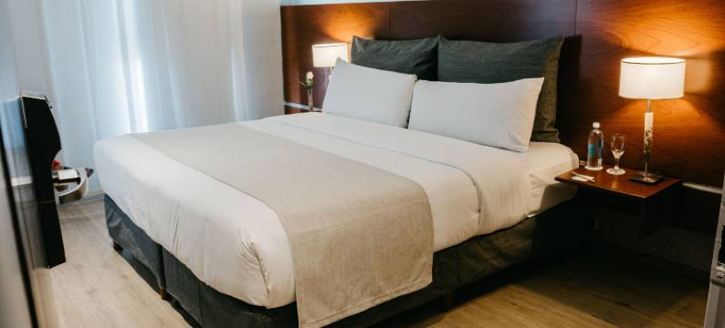 罗切斯特概念酒店(Rochester Hotel Concept)图片