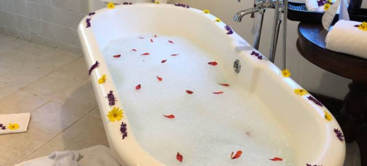 艾勒瓦纳恩戈罗恩戈罗庄园酒店(Elewana the Manor Ngorongoro)图片